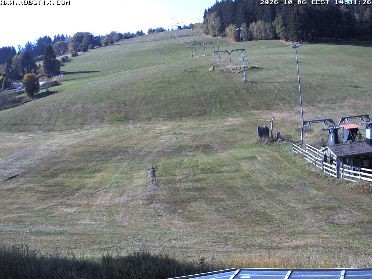 Archiv Foto Webcam Lifthang in Grün bei St. Englmar