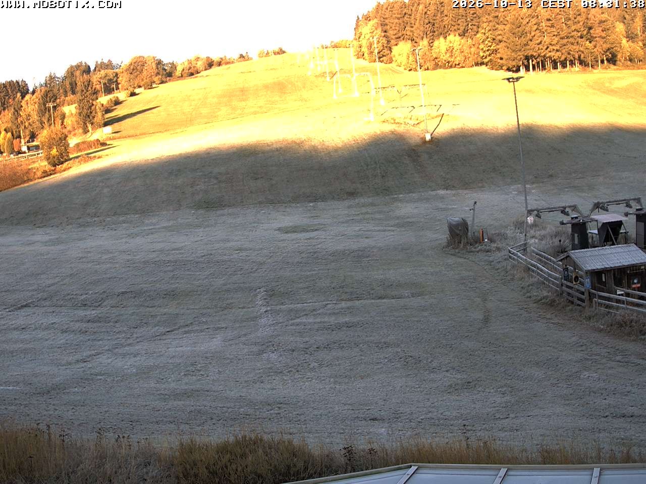 Archiv Foto Webcam Lifthang in Grün bei St. Englmar