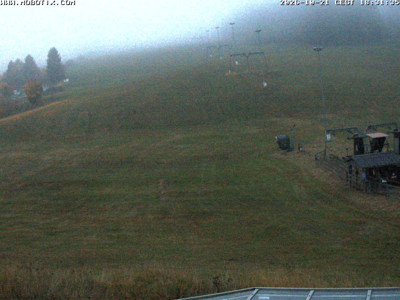 Archiv Foto Webcam Lifthang in Grün bei St. Englmar