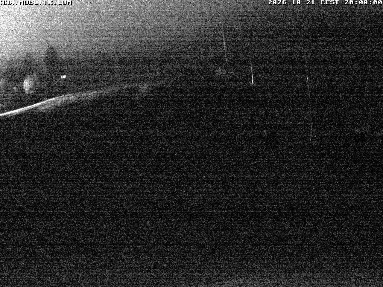 Archiv Foto Webcam Lifthang in Grün bei St. Englmar