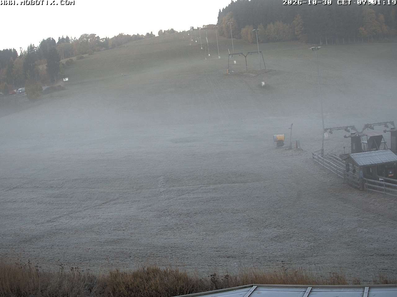 Archiv Foto Webcam Lifthang in Grün bei St. Englmar