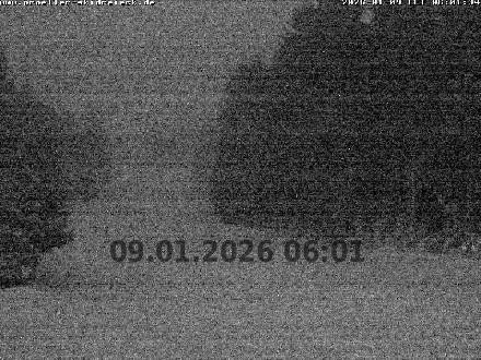 Archiv Foto Webcam Pröller (Pisten)