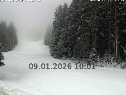 Archiv Foto Webcam Pröller (Pisten)