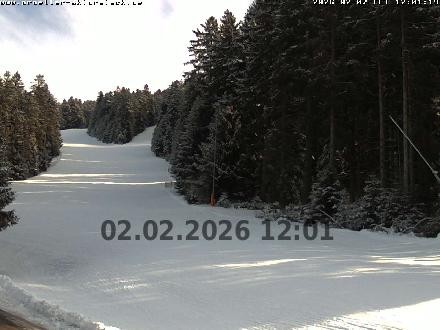 Archiv Foto Webcam Pröller (Pisten)