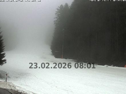 Archiv Foto Webcam Pröller (Pisten)