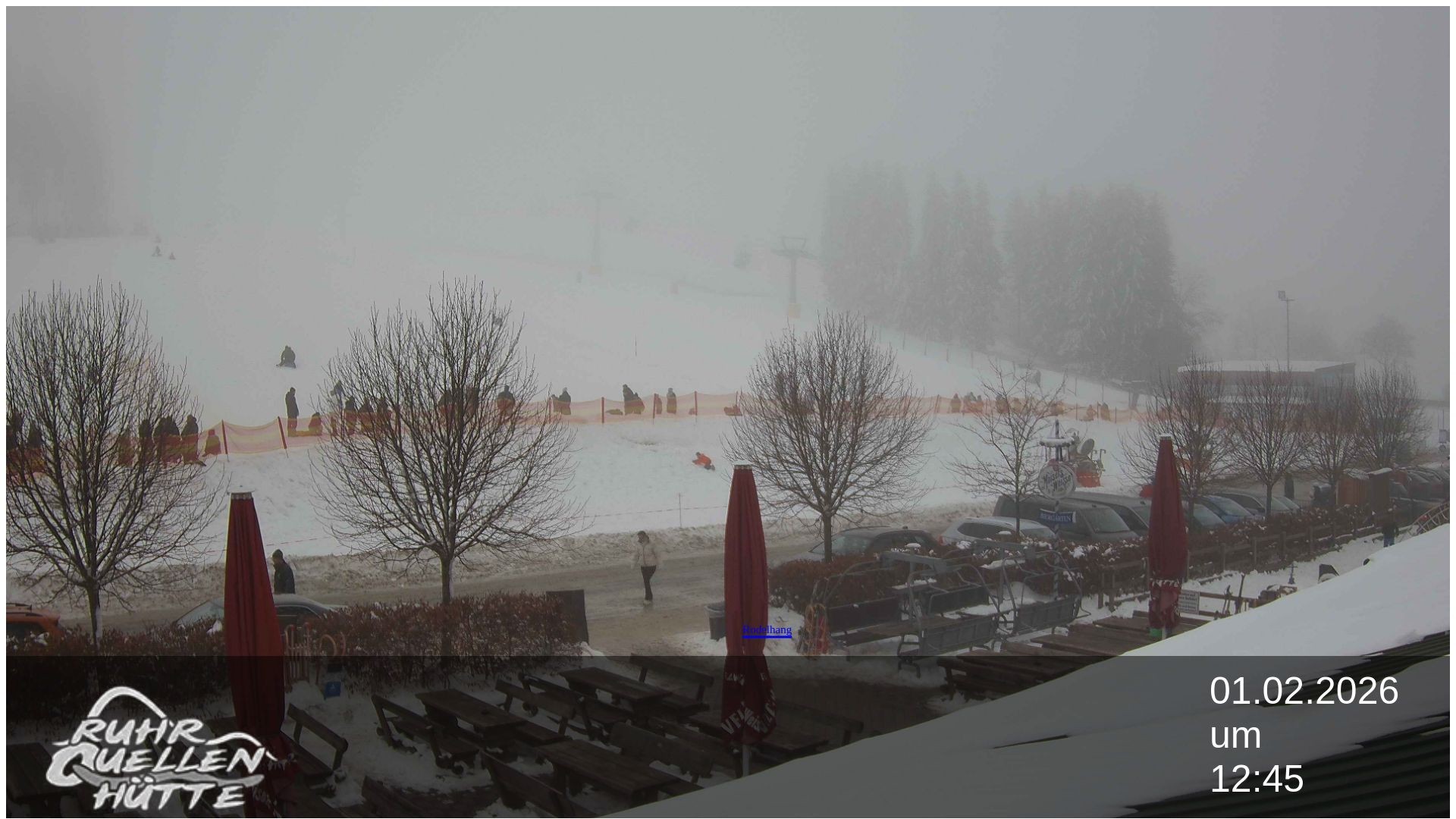 Archived image Webcam Ruhrquelle Winterberg Lower station