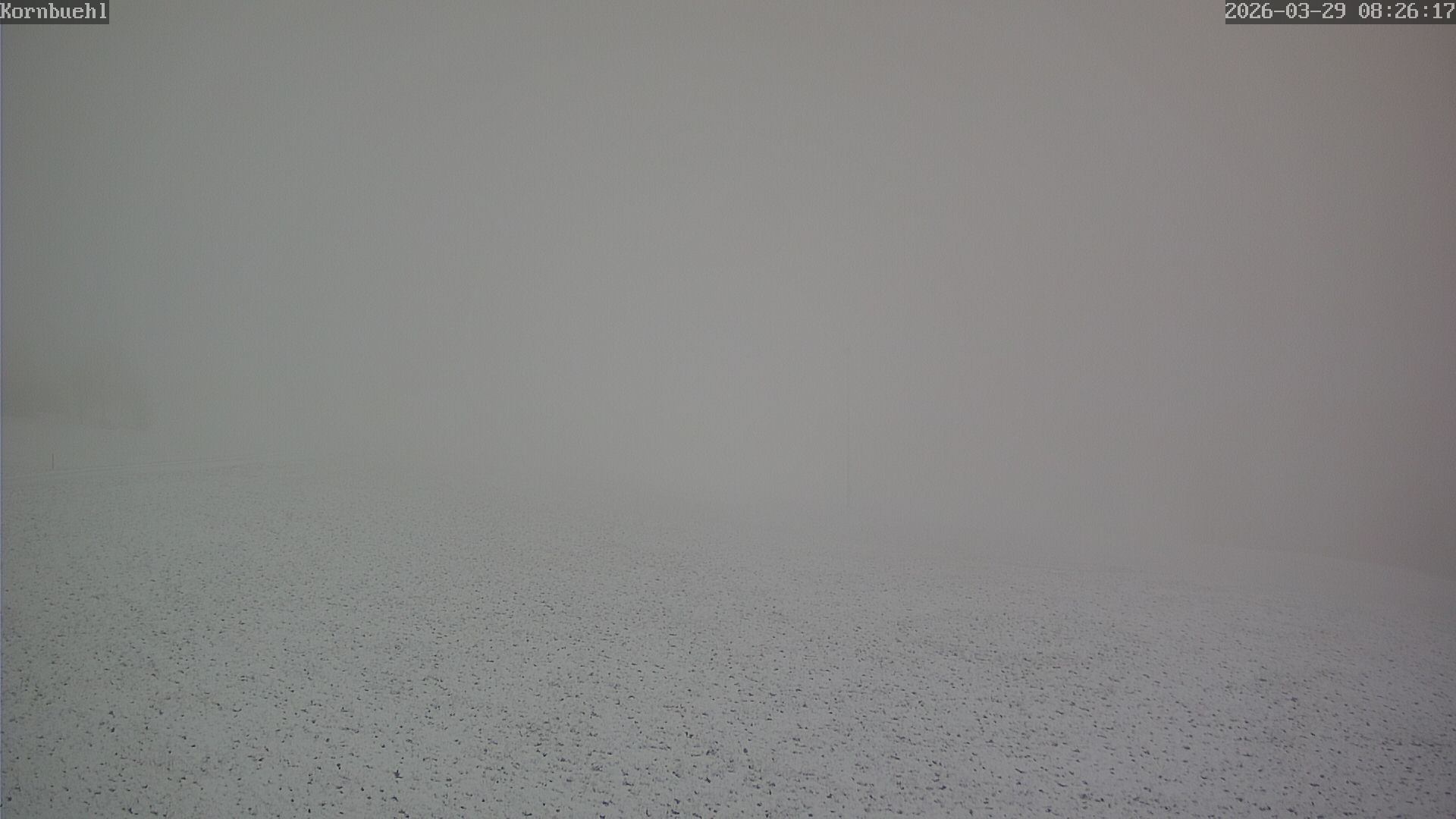 Archiv Foto Webcam Salmendingen Blick Piste und vom Lift