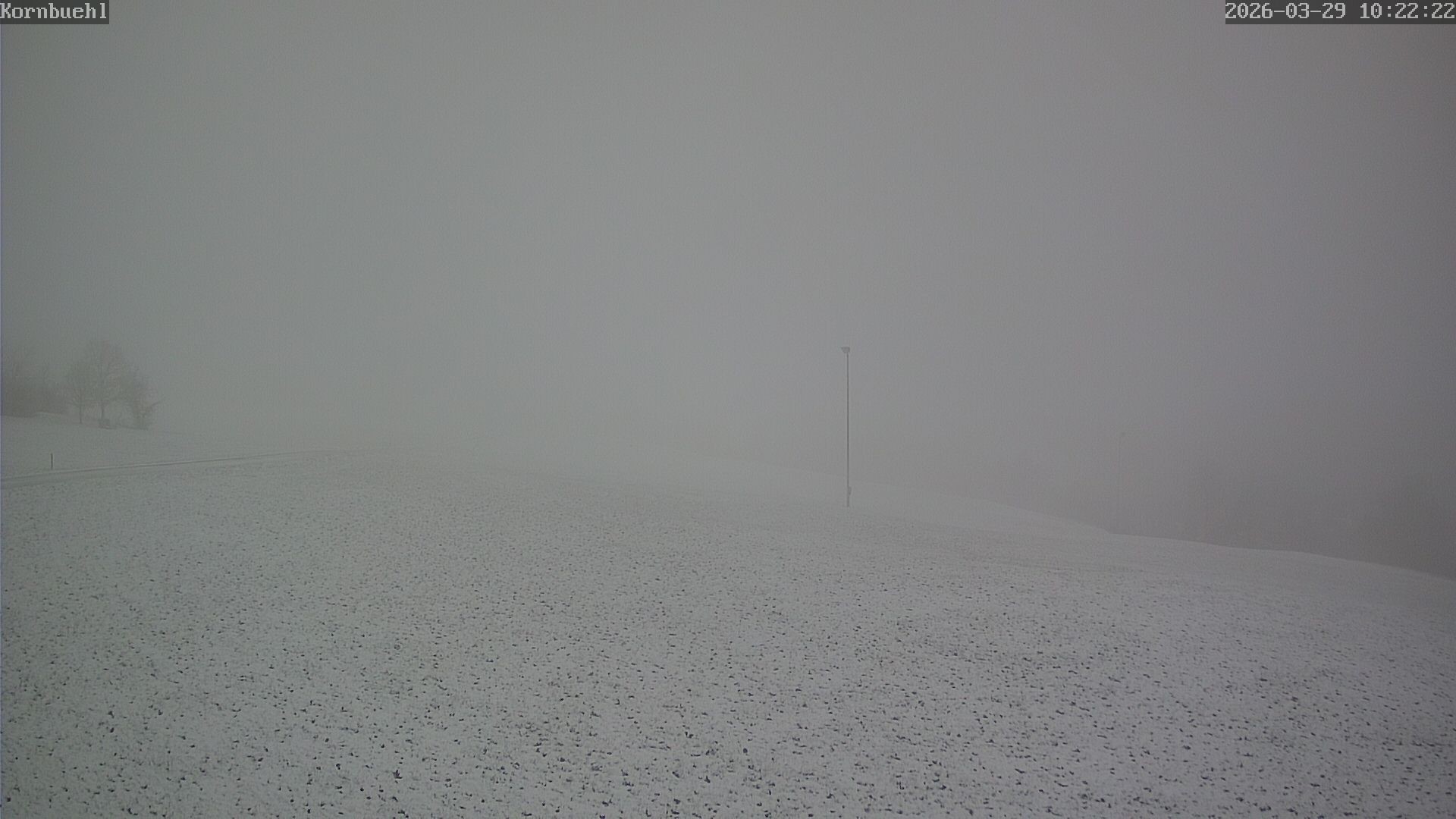 Archiv Foto Webcam Salmendingen Blick Piste und vom Lift