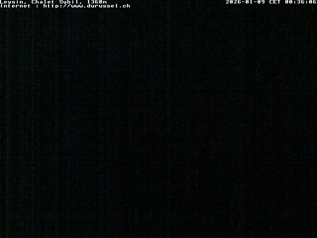 Archiv Foto Webcam Chalet Sybil (1360m), Leysin