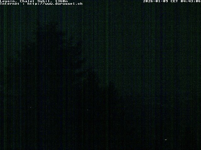 Archiv Foto Webcam Chalet Sybil (1360m), Leysin