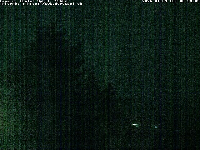 Archiv Foto Webcam Chalet Sybil (1360m), Leysin
