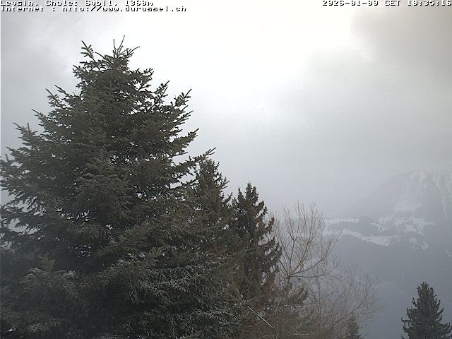 Archiv Foto Webcam Chalet Sybil (1360m), Leysin