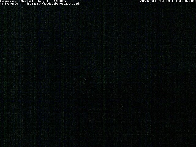 Archiv Foto Webcam Chalet Sybil (1360m), Leysin
