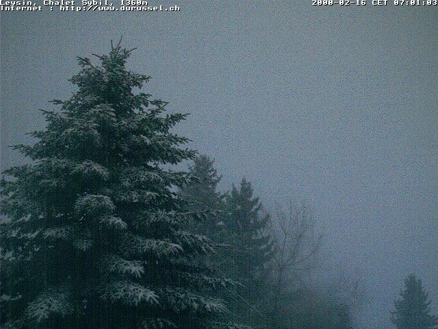 Archiv Foto Webcam Chalet Sybil (1360m), Leysin