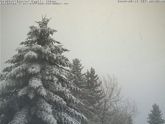 Archiv Foto Webcam Chalet Sybil (1360m), Leysin