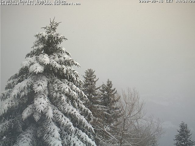 Archiv Foto Webcam Chalet Sybil (1360m), Leysin