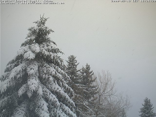 Archiv Foto Webcam Chalet Sybil (1360m), Leysin