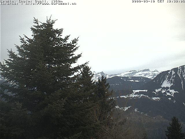 Archiv Foto Webcam Chalet Sybil (1360m), Leysin