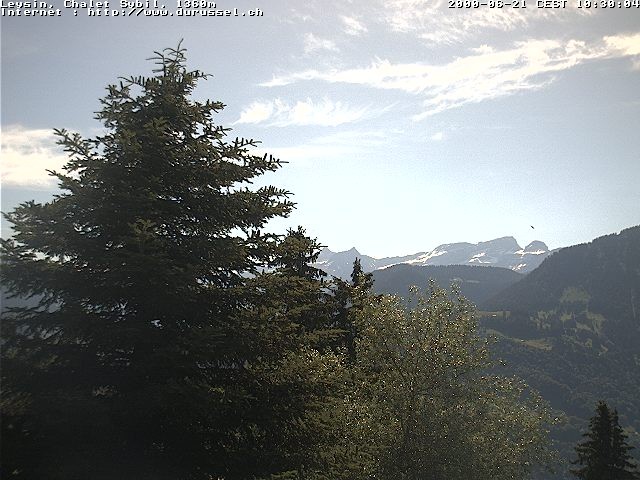 Archiv Foto Webcam Chalet Sybil (1360m), Leysin